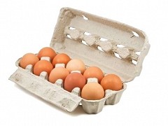 028.1001 - Pulp eierdozen voor 10 eieren