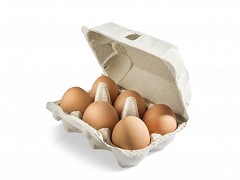 028.1002 - Pulp eierdozen voor 6 eieren