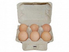 028.1002 - Pulp eierdozen voor 6 eieren