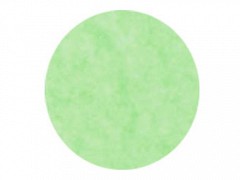 1768 - Rondellen rond Ø 12 cm GROEN