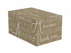 X302G270HG - Kerstpakketdozen 49 x 39 x 27 cm 