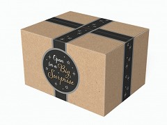 X92838 - Kerstpakketdozen 49 x 39 x 15 cm 