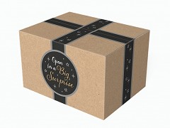 X92834 - Kerstpakketdozen 39 x 29 x 15 cm 