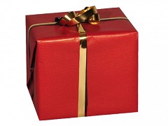 EP141103 - Cadeaupapier 50 cm x 200 mtr KRAFT ROOD