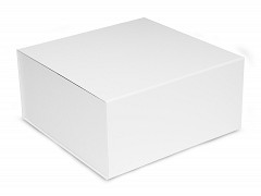 F0529 - Witte magneetdozen 35 x 25 x 10 cm