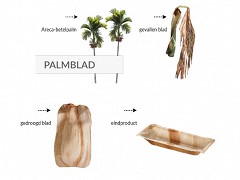 800.020 - Palmblad sausbakjes 150 ml Ø 12 cm