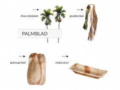 Palmblad bakjes 16 x 16 x 4,5 cm 