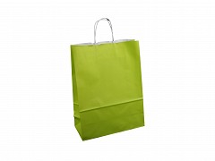 D400232 - Papieren draagtassen 15 + 8,5 x 21,5 cm groen