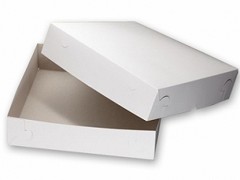 3380 - Zwanenhals doos 30 x 30 x 8 cm