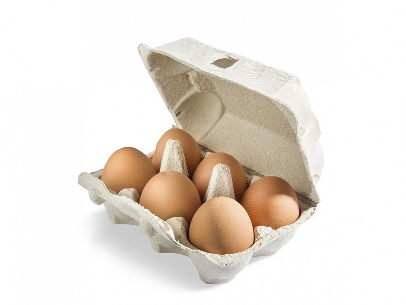 Dapper Traditioneel Plons Pulp eierdozen voor 6 eieren 028.1002