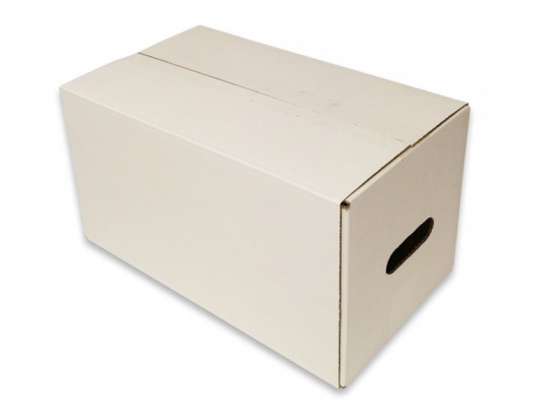 Kartonnen dozen x 21,5 22,5 cm met 9811349