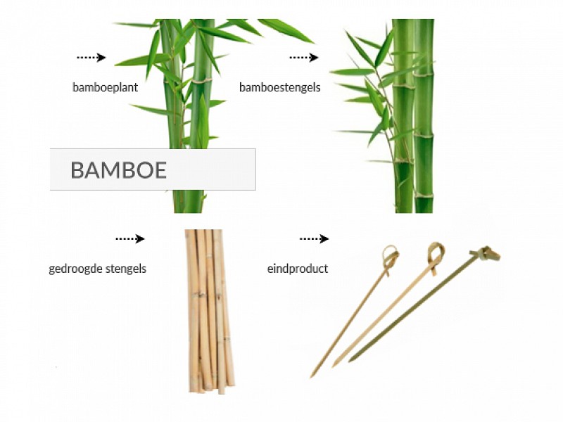 848.101 -Bamboe knoopprikkers 9 cm